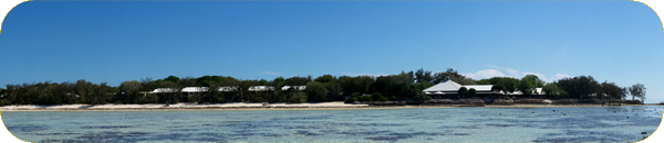 Heron Island